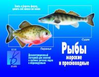 Демонстративные карточки "Рыбы морские и пресноводные"